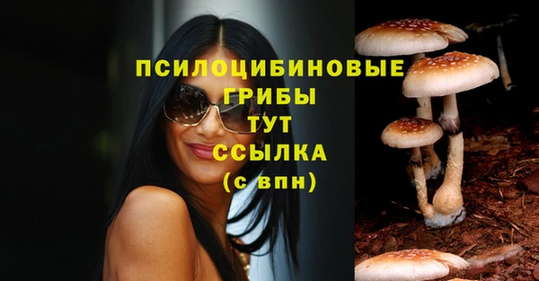 трава Артём