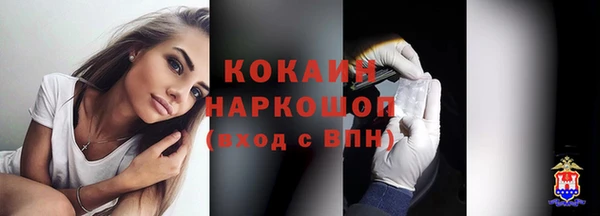 шишки Михайлов