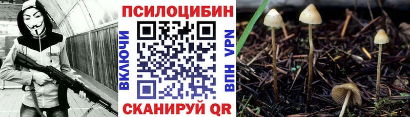 OMG рабочий сайт Находка Галлюциногенные грибы мицелий