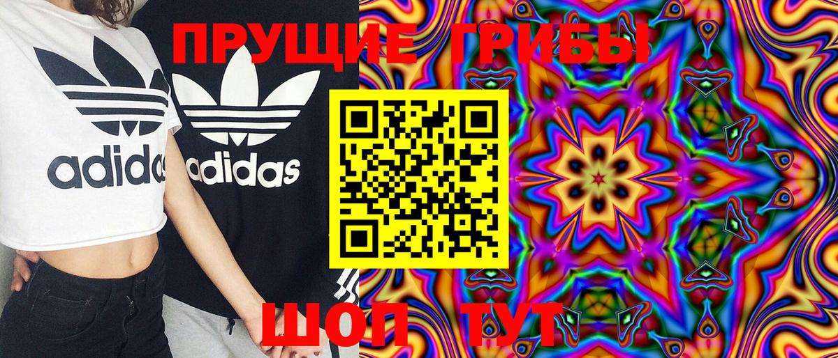 Галлюциногенные грибы Psilocybe  Вход с VPN  Находка 